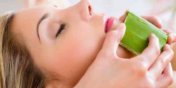 Woman Experiencing Aloevera Massage By A Professional Massage Therapist.